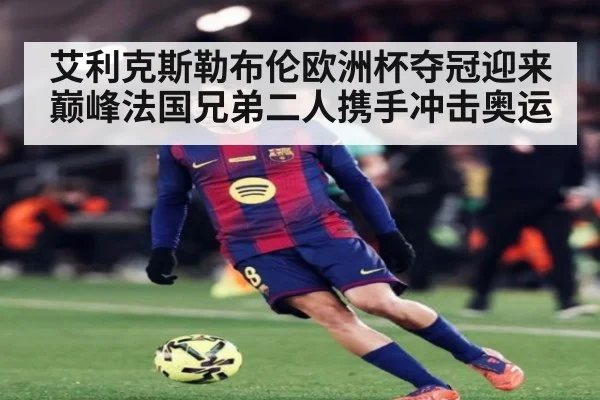 艾利克斯勒布伦欧洲杯夺冠迎来巅峰法国兄弟二人携手冲击奥运