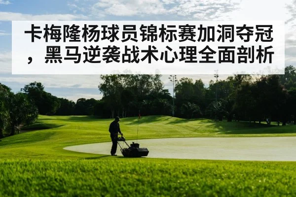 卡梅隆杨球员锦标赛加洞夺冠，黑马逆袭战术心理全面剖析